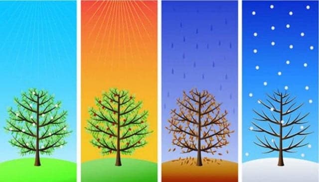 شناسایی روندهای فصلی بازار فارکس برای سود بیشتر